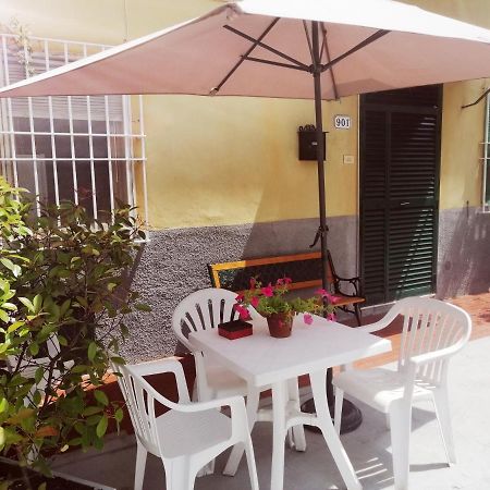 Pierina Apartment Lucca Ngoại thất bức ảnh
