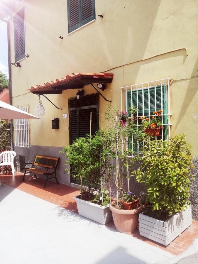 Pierina Apartment Lucca Ngoại thất bức ảnh